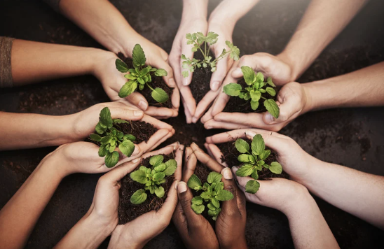 Sensibiliser vos équipes aux changements climatiques